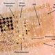 Illustration for article titled Temporary tattoos could make electronic telepathy and telekinesis possible